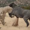 Stirring Up the Dust