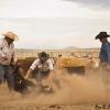 Kicking Up the Dust