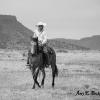 Lone Rider