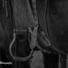 Snagged Stirrup