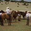 Bareback