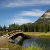 Cascade Ponds Bridge 2
Banff, Alberta
