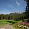Rocky Mountain Golf
Canmore, Alberta