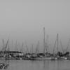 Port Aransas, Texas