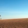 Monahans Windmill
Monahans Sandhills State Park