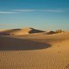 Monahans Sandhills State Park