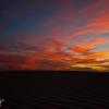 Sand Sunset
Monahans Sandhills State Park