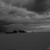 Storm in the Sand
Monahans Sandhills State Park