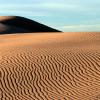 Sanddunes
Monahans Sandhills State Park