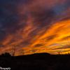 Ocotillo Sunset
Presidio, Texas