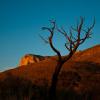 Guadalupe
Guadalupe Mountains, Texas