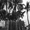 Waikiki Beach
Honolulu, HI