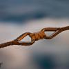 Yacht Rigging