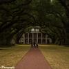 Oak Alley
Vacherie, LA