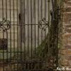 Plantation Gate
Vacherie, LA